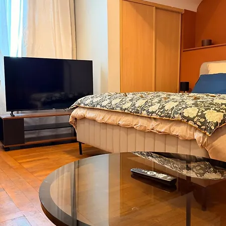 Appartamento Cosy Hypercentral - Idéal Visite Châteaux&vieux Tours